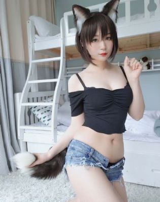 第五共和国
