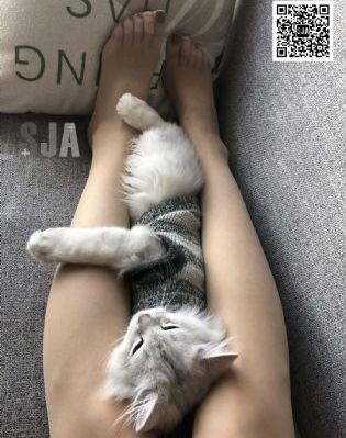 韩剧秘密5免费观看