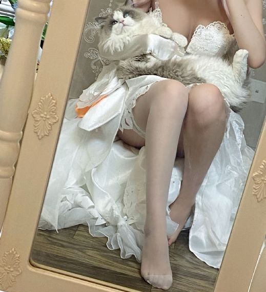火影在线