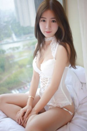 细狗网页版