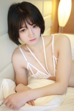 长相思第一季电视剧免费完整版