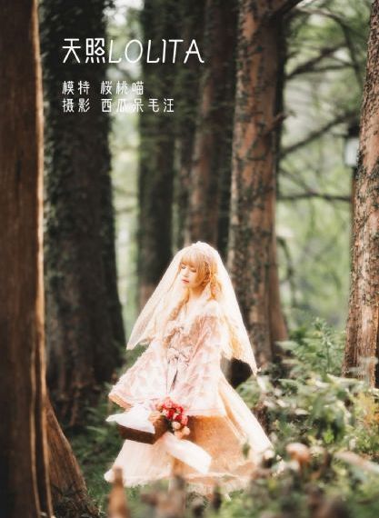 捷克街头在线观看
