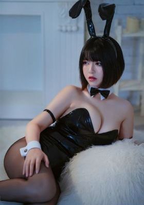 文豪野犬第季第五季