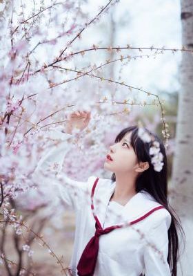 一路向西2泰西